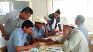 manual de buenas practicas agricolas