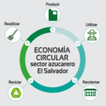 Economía circular agrícola: Una estrategia sostenible