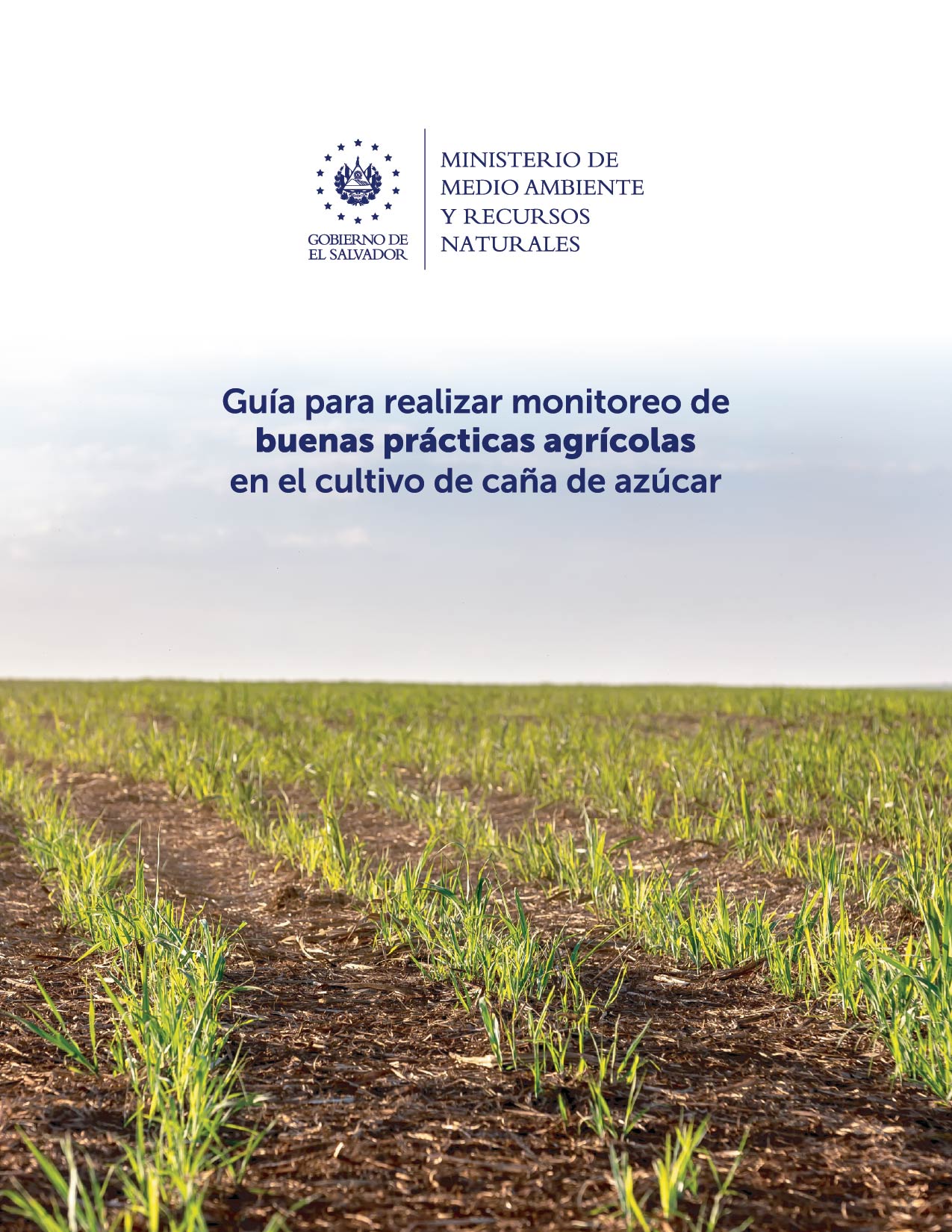 Guia para realizar Monitoreo de Buenas Practicas