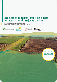 Guia de Erradicacion del Trabajo Infantil. Sistematizacion de la experiencia del sector azucarero